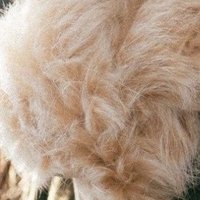 いび (@taidaibi) 's Twitter Profile