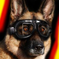 Sgt_OKeefe (@bokbomber) 's Twitter Profile