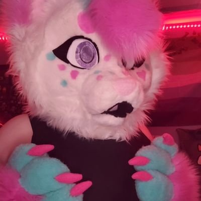 🩷Cat Murrsuiter | Trans, Gay, and Disabled | 18+ ONLY, MINORS DNI🌸