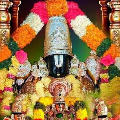 MGopi66161628's profile picture. Great things take time option buyer