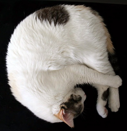 LMaynardStudios's profile picture. Creating art to make the world a better place.