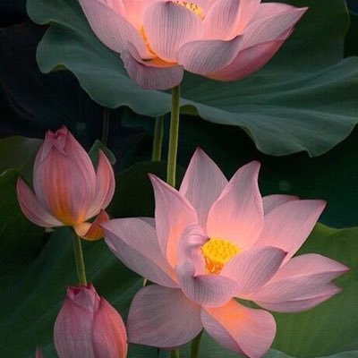 mom254772522780's profile picture. 