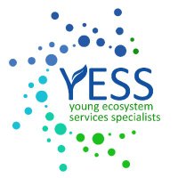 YESS(@YESS_Network) 's Twitter Profile Photo