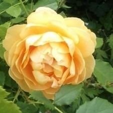 kazui_N's profile picture. 夢･男女カプのお話をPixivへ投稿しています。別名義でカプなしのお話も書いてます。
1日だけ鍵かけます。11/29

アカウント詳細リットリンク⇒ https://t.co/uPRm6v1R8g

マシュマロ→https://t.co/6zVfAMXMiA