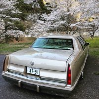 🇺🇸KmkM.GDB94 (@zerostyle26) 's Twitter Profile Photo 🇺🇸KmkM.GDB94 (@zerostyle26) 's Twitter Profile Photo