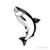 @salmon_invest