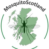 MosquitoScotland(@MosquitoScot) 's Twitter Profile Photo