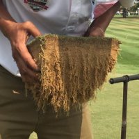 Sports Turf Solutions (@stsasia) 's Twitter Profile Photo Sports Turf Solutions (@stsasia) 's Twitter Profile Photo
