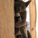 john faisal - @john_faisal - Twitter