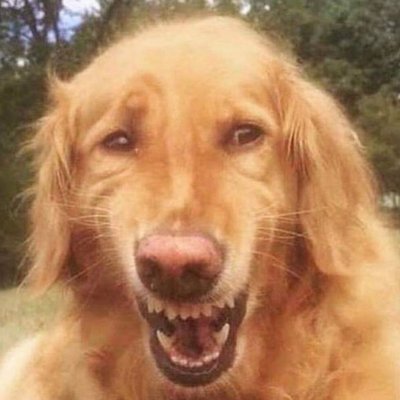 bobshotdogwater's profile picture. ur mad lol