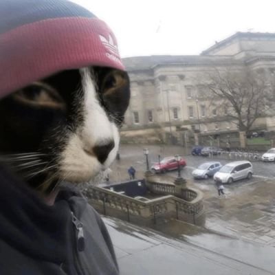 rst_slv's profile picture. 