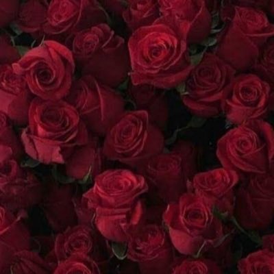 Kataraesita's profile picture. 