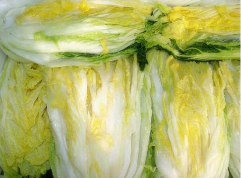 ksj0167325506's profile picture. 법학석사, 셀러리맨