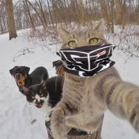 G2 Rúben (@_rainmonsta) 's Twitter Profile
