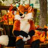 AutumnFox841's profile picture. Generic fox Executive Chef Content Creator Suit by @DontHugCacti