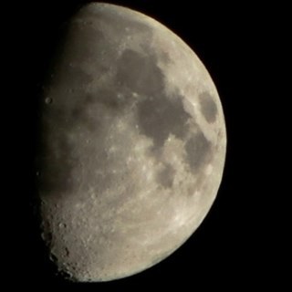 marcocappoli's profile picture. 