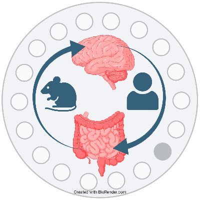 Department of Neurology @UKJ_Jena
Microbiota-Gut-Brain-Axis | Aging | #Inflammaging | Animal behavior | Cognitive function | BtB | #Microbiome | Microglia | FMT