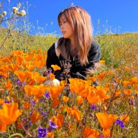 april cheng (@aqc___) 's Twitter Profile Photo april cheng (@aqc___) 's Twitter Profile Photo