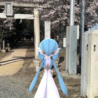 👒椿 👒 (@tubakipokego) 's Twitter Profile