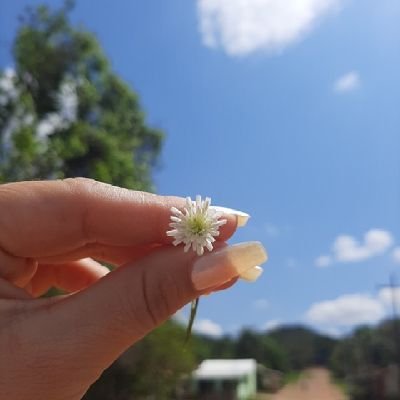 Epohé