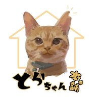 とらちゃん本舗💘保護猫保護犬のご縁繋ぎ　能登半島を応援💝(@5O3uha) 's Twitter Profile Photo