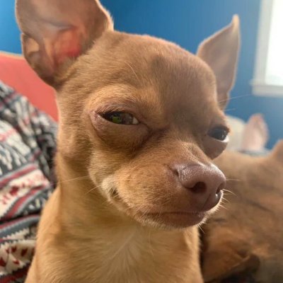 FamLilith's profile picture. 🤡