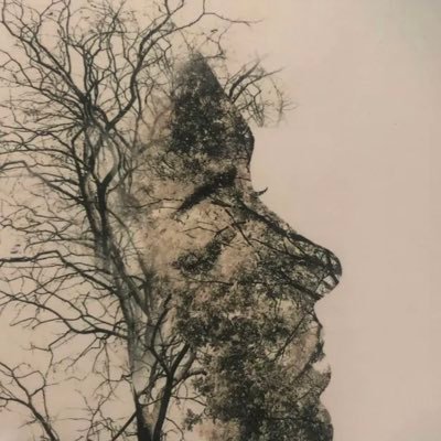 JaimieWils27861's profile picture. 