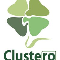 Clustero - Romanian Cluster Association(@ClusterClustero) 's Twitter Profile Photo