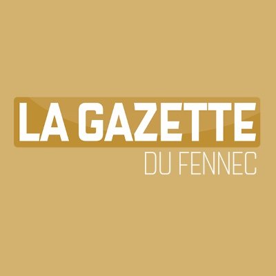 Suivez l’actualité du foot algérien avec La Gazette du Fennec : l’Équipe nationale, joueurs DZ évoluant à l'étranger, championnat algérien #TeamDZ #LGDF