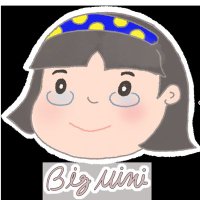 빅미니_Bigmini(@Bigminihistory) 's Twitter Profile Photo