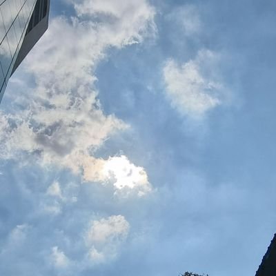 2434stan4ever's profile picture. 20↑