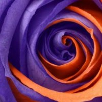 Jas Wyatt (@jazmathteacher) 's Twitter Profile