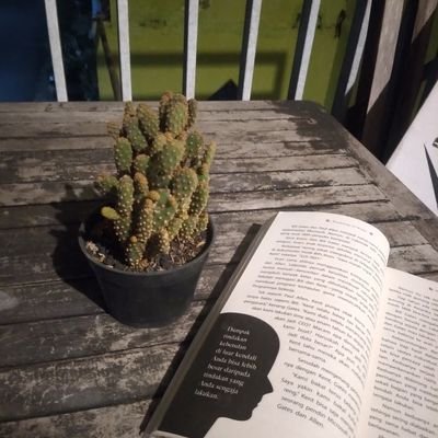 milkiainun's profile picture. Code with philosophy