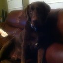 bryan kent - @Bkentcocomojo - Twitter