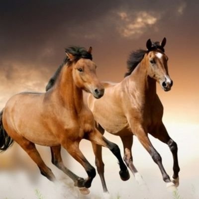 hakiiim2023's profile picture. 