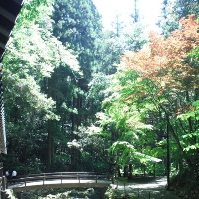 sagan31tosu's profile picture. ﾁﾃﾞｻﾞ