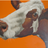 foyne's profile image