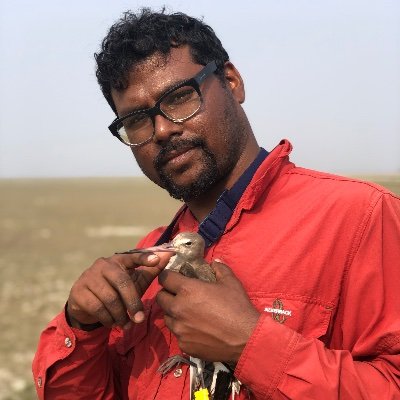 PhD student @univgroningen|#Godwits migration @GlobalFlyway | 
Asst. professor of Zoology, Jagannath University, Bangladesh| Conference Coordinator @waderstudy