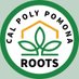 Roots House (@cpprootshouse) Twitter profile photo Roots House (@cpprootshouse) Twitter profile photo