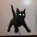 cat with threatening auras (@cats__cursed) Twitter profile photo cat with threatening auras (@cats__cursed) Twitter profile photo