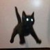 cat with threatening auras (@cats__cursed) Twitter profile photo