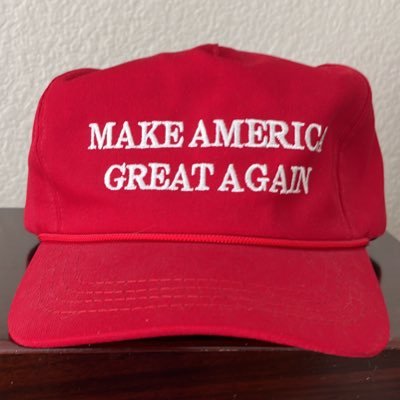 Liberal hating ultra MAGA Trump all the way!