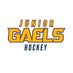 GK Jr Gaels U14 (@jrgaelsu14) Twitter profile photo GK Jr Gaels U14 (@jrgaelsu14) Twitter profile photo