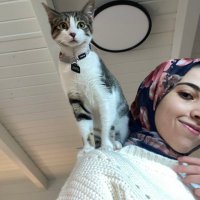 فيروز (@fayrouzahmed06) 's Twitter Profile