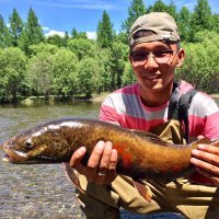 Amarbat Otgonganbat (@amarbat_amka) 's Twitter Profile Photo