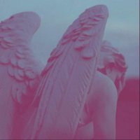 Tiki (@tikibarcod) 's Twitter Profile Photo Tiki (@tikibarcod) 's Twitter Profile Photo