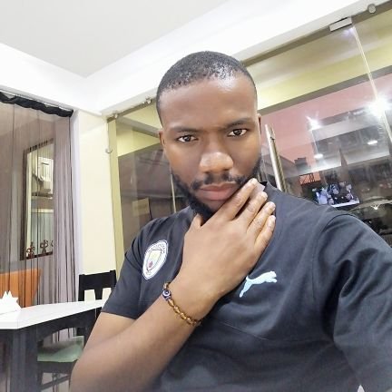 Software Engineer
YourGadgetRepairGuy
Businessman
Music lover
An Arsenal fan to the marrow