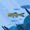 Summer Fish - @SummerFish35 - Twitter