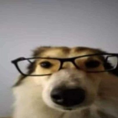 tianchi_ooo's profile picture. 