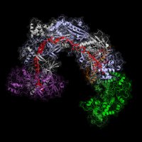 Sternberg Lab (@sternberglab) 's Twitter Profile